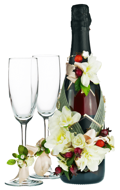 Forge Valley Event Center | Hendersonville, Brevard, Asheville | champagne and glasses for after wedding toasts